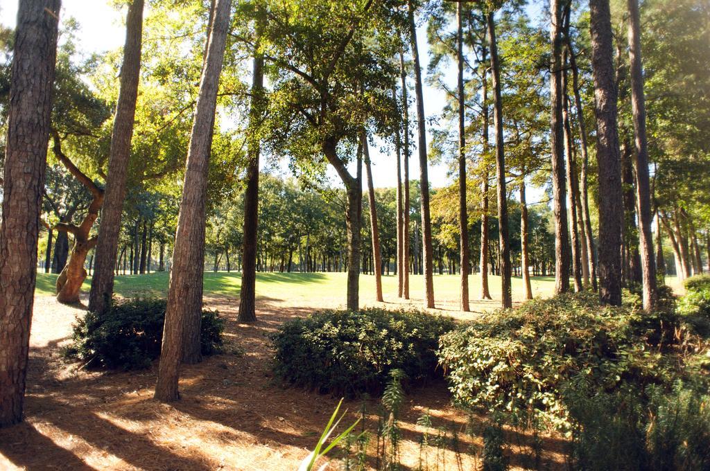 Hotel Pawleys Plantation Golf & Country Club Pawleys Island Exterior foto